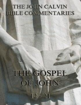 Calvin |  John Calvin's Commentaries On The Gospel Of John Vol. 2 | eBook | Sack Fachmedien