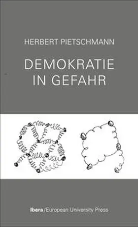 Pietschmann |  Demokratie in Gefahr | Buch |  Sack Fachmedien