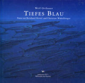Orthbauer / Pils |  Tiefes Blau | Buch |  Sack Fachmedien