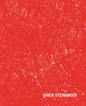 Steininger |  Erich Steininger – Schattenfelder | Buch |  Sack Fachmedien