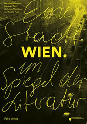 Fetz / Manojlovic / Putz |  Wien | Buch |  Sack Fachmedien