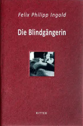 Ingold |  Die Blindgängerin | Buch |  Sack Fachmedien