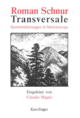 Schnur |  Transversale | Buch |  Sack Fachmedien