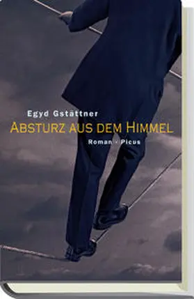 Gstättner |  Absturz aus dem Himmel | Buch |  Sack Fachmedien