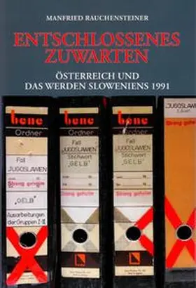 Rauchensteiner |  Entschlossenes Zuwarten | Buch |  Sack Fachmedien