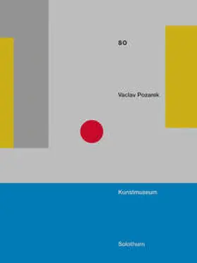 Vögele |  Vaclav Pozarek SO | Buch |  Sack Fachmedien