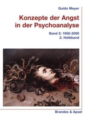 Meyer |  Konzepte der Angst in der Psychoanalyse | Buch |  Sack Fachmedien