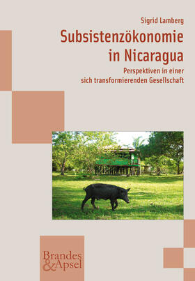 Lamberg |  Subsistenzökonomie in Nicaragua | Buch |  Sack Fachmedien