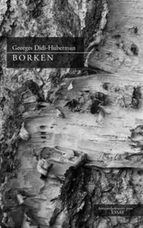 Didi-Huberman | Borken | Buch | 978-3-86253-026-7 | sack.de