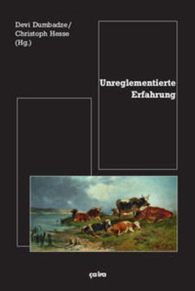 Dumbadze / Hesse / Braunstein |  Unreglementierte Erfahrung | Buch |  Sack Fachmedien