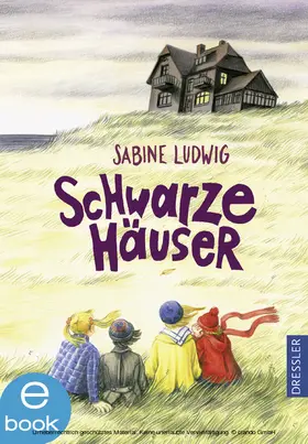 Ludwig |  Schwarze Häuser | eBook | Sack Fachmedien