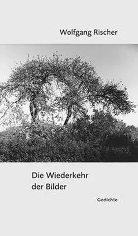 Rischer |  Die Wiederkehr der Bilder | Buch |  Sack Fachmedien