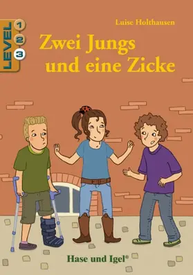 Holthausen |  Zwei Jungs und eine Zicke / Level 3. Schulausgabe | Buch |  Sack Fachmedien