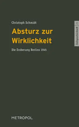 Schmidt |  Absturz zur Wirklichkeit | Buch |  Sack Fachmedien