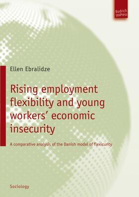 Ebralidze |  Rising employment flexibility and young workers’ economic insecurity | eBook | Sack Fachmedien