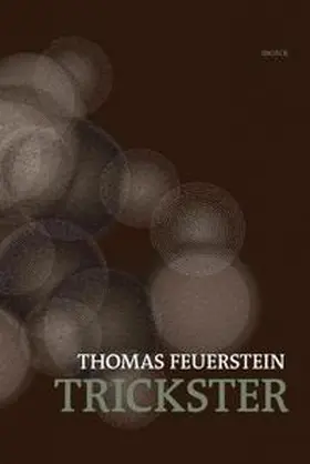 Wipplinger |  Thomas Feuerstein: Trickster | Buch |  Sack Fachmedien