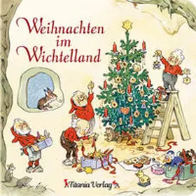 Hahn |  Weihnachten im Wichtelland | Buch |  Sack Fachmedien