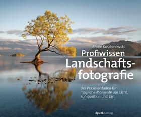 Koschinowski |  Profiwissen Landschaftsfotografie | Buch |  Sack Fachmedien