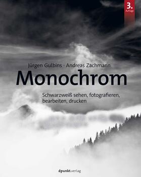 Gulbins / Zachmann |  Monochrom | Buch |  Sack Fachmedien
