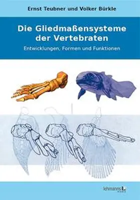 Teubner / Bürkle |  Die Gliedmaßensysteme der Vertebraten | Buch |  Sack Fachmedien