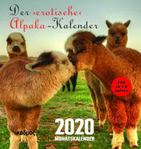 Burckhardt |  Der >erotische< Alpaka-Kalender (2020) | Sonstiges |  Sack Fachmedien