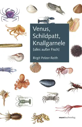 Pelzer-Reith |  Venus, Schildpatt, Knallgarnele | Buch |  Sack Fachmedien