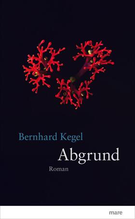 Kegel |  Kegel, B: Abgrund | Buch |  Sack Fachmedien