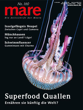 Gelpke |  mare No. 160 / Superfood Quallen | Buch |  Sack Fachmedien