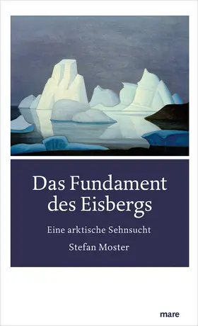 Moster |  Das Fundament des Eisbergs | Buch |  Sack Fachmedien