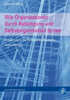 König |  Wie Organisationen durch Beteiligung und Selbstorganisation lernen | Buch |  Sack Fachmedien