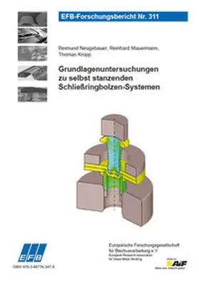 Neugebauer / Mauermann / Kropp |  Grundlagenuntersuchungen zu selbst stanzenden Schließringbolzen-Systemen | Buch |  Sack Fachmedien