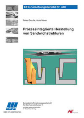 Groche / Mann |  Prozessintegrierte Herstellung von Sandwichstrukturen | Buch |  Sack Fachmedien