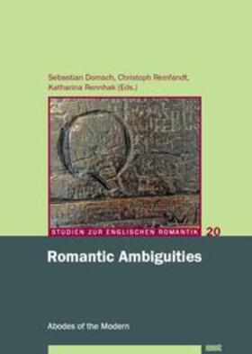 Domsch / Reinfandt / Rennhak |  Romantic Ambiguities | Buch |  Sack Fachmedien
