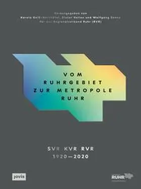 Geiß-Netthöfel / Nellen / Sonne |  Vom Ruhrgebiet zur Metropole Ruhr | Buch |  Sack Fachmedien