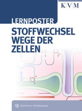  Lernposter – Stoffwechselwege der Zellen | Sonstiges |  Sack Fachmedien