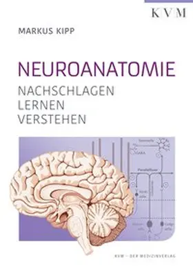 Kipp / Kalinka |  Neuroanatomie | Buch |  Sack Fachmedien