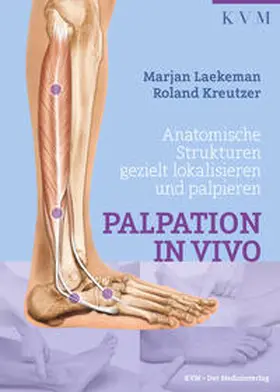 Laekeman / Kreutzer / Junginger |  Palpation in Vivo | Buch |  Sack Fachmedien