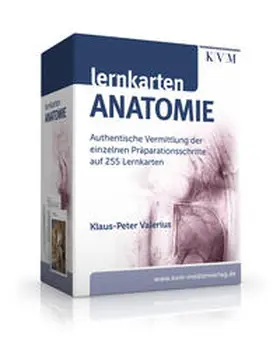 Valerius |  Lernkarten Anatomie | Buch |  Sack Fachmedien