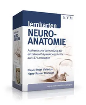 Valerius / Duncker |  Lernkarten Neuroanatomie | Buch |  Sack Fachmedien