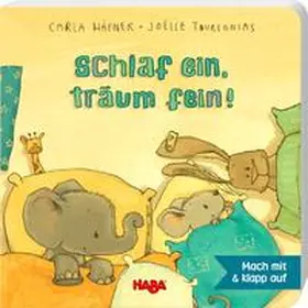 Häfner |  Schlaf ein, träum fein! | Buch |  Sack Fachmedien