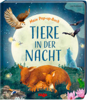 Davies |  Mein Pop-up-Buch - Tiere in der Nacht | Buch |  Sack Fachmedien