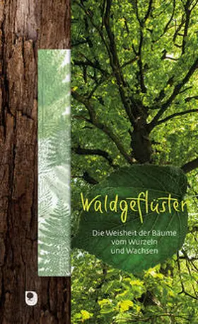 Osenberg-van Vugt |  Waldgeflüster | Buch |  Sack Fachmedien