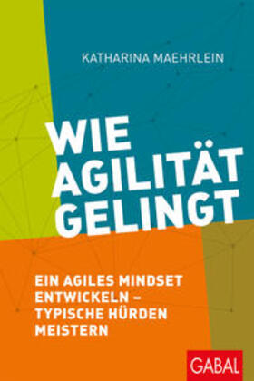 Maehrlein |  Wie Agilität gelingt | Buch |  Sack Fachmedien