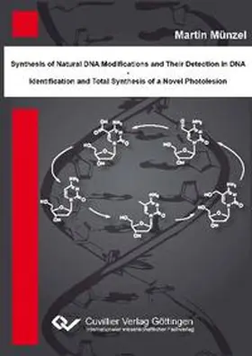 Münzel |  Synthese natürlicher DNA Modifikationen und deren Detektion in DNA - Identifikation und Totalsynthese eines neuartigen DNA Photoschadens | Buch |  Sack Fachmedien