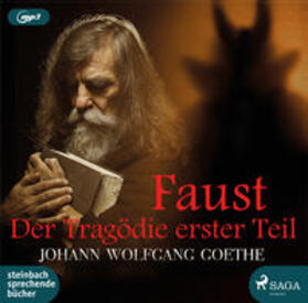 Goethe |  Goethe, J: Faust/ erster Teil/ MP3-CD | Sonstiges |  Sack Fachmedien