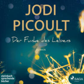 Picoult |  Picoult, J: Funke des Lebens/ 2 mp3-CDs | Sonstiges |  Sack Fachmedien