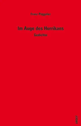 Pöggeler |  Im Auge des Hurrikans | Buch |  Sack Fachmedien