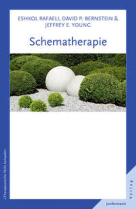 Rafaeli / Young |  Schematherapie | eBook | Sack Fachmedien