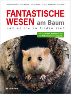 Nürnberger Schule / Kuther / Heimbucher |  Fantastische Wesen am Baum und wo sie zu finden sind | Buch |  Sack Fachmedien