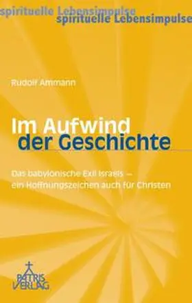 Ammann |  Im Aufwind der Geschichte | Buch |  Sack Fachmedien